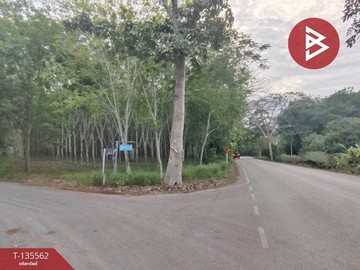 ขายที่ดิน เนื้อที่ 5 ไร่ 29 ตร.วา แกลง ระยอง