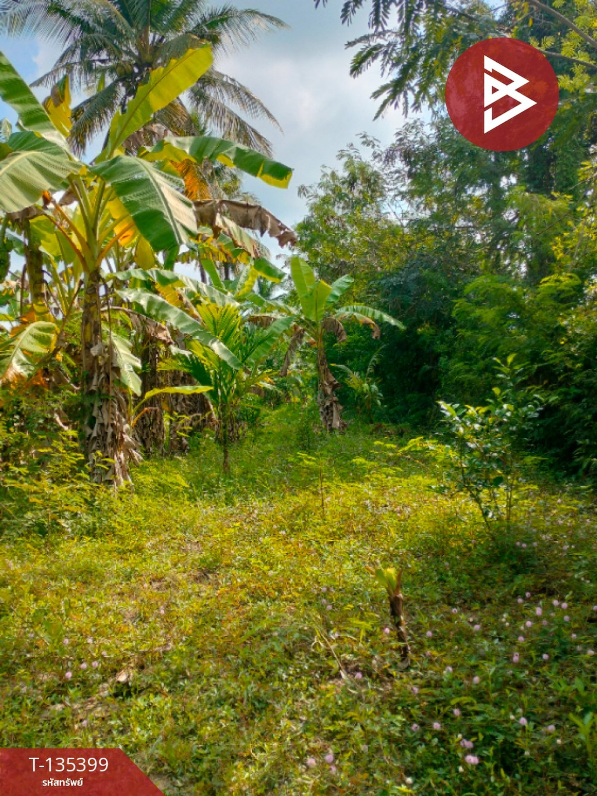 ขายที่ดิน เนื้อที่ 1 ไร่ 1 งาน 45.4 ตร.วา ปากนคร นครศรีธรรมราช