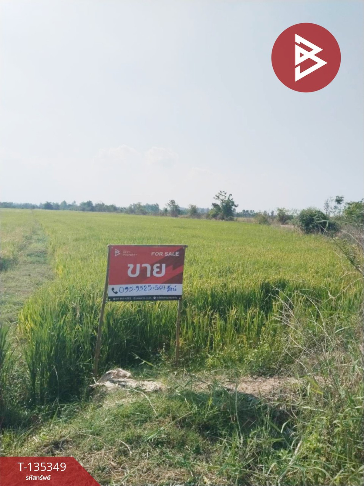 ขายที่ดิน เนื้อที่ 150 ตารางวา ต.เขาคีริส อ.พรานกระต่าย จ.กำแพงเพชร