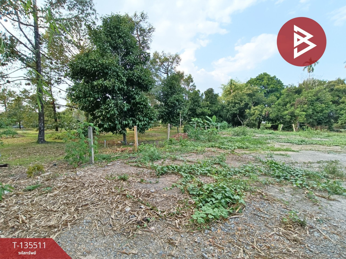 ขายที่ดิน เนื้อที่ 4 ไร่ 2 งาน 18.9 ตร.วา พลับพลา จันทบุรี