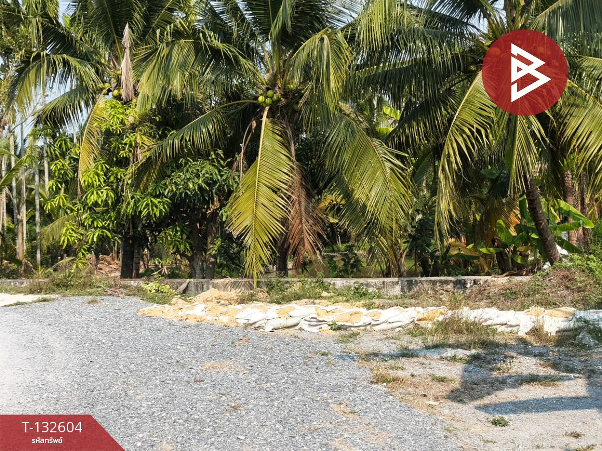 ขายที่ดินสวนมะพร้าว เนื้อที่ 200 ตารางวา สามพราน นครปฐม
