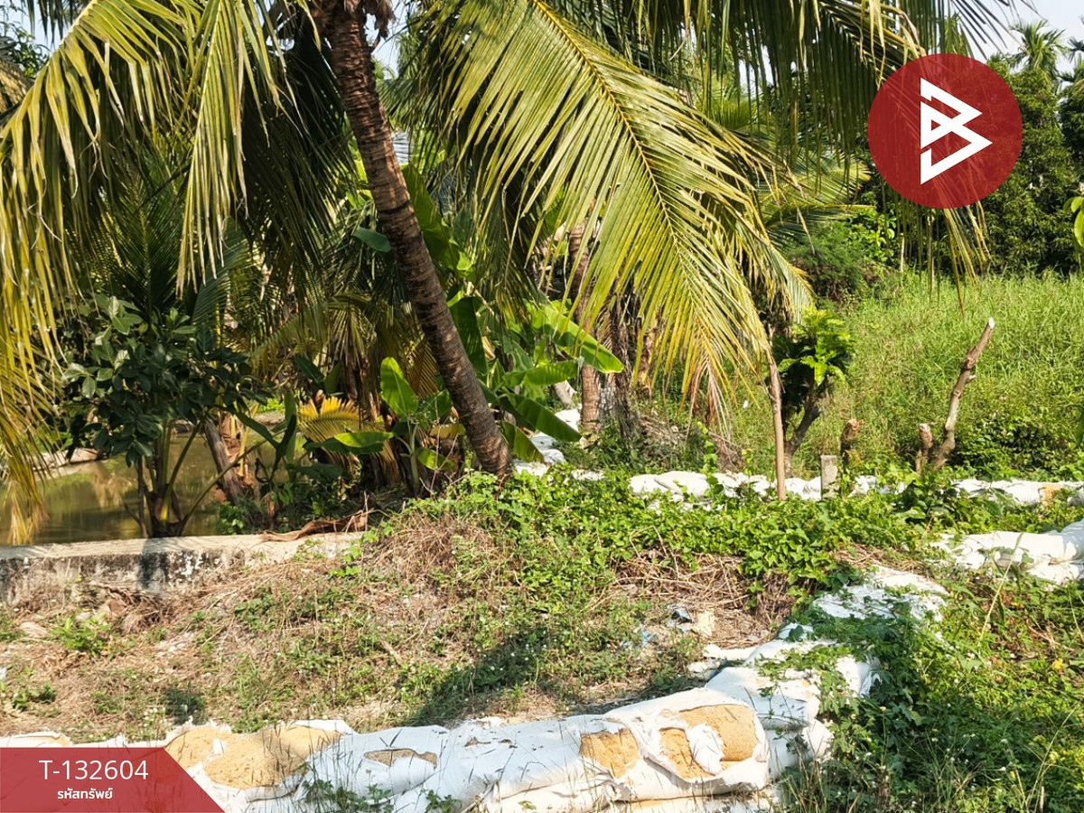 ขายที่ดินสวนมะพร้าว เนื้อที่ 200 ตารางวา สามพราน นครปฐม