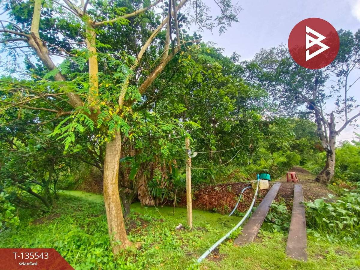 ขายที่ดินสวนผสม เนื้อที่ 9 ไร่ 2 งาน 18 ตารางวา อัมพวา สมุทรสงคราม