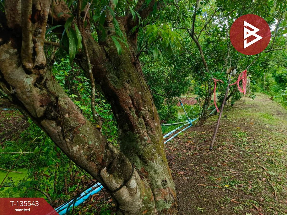 ขายที่ดินสวนผสม เนื้อที่ 9 ไร่ 2 งาน 18 ตารางวา อัมพวา สมุทรสงคราม