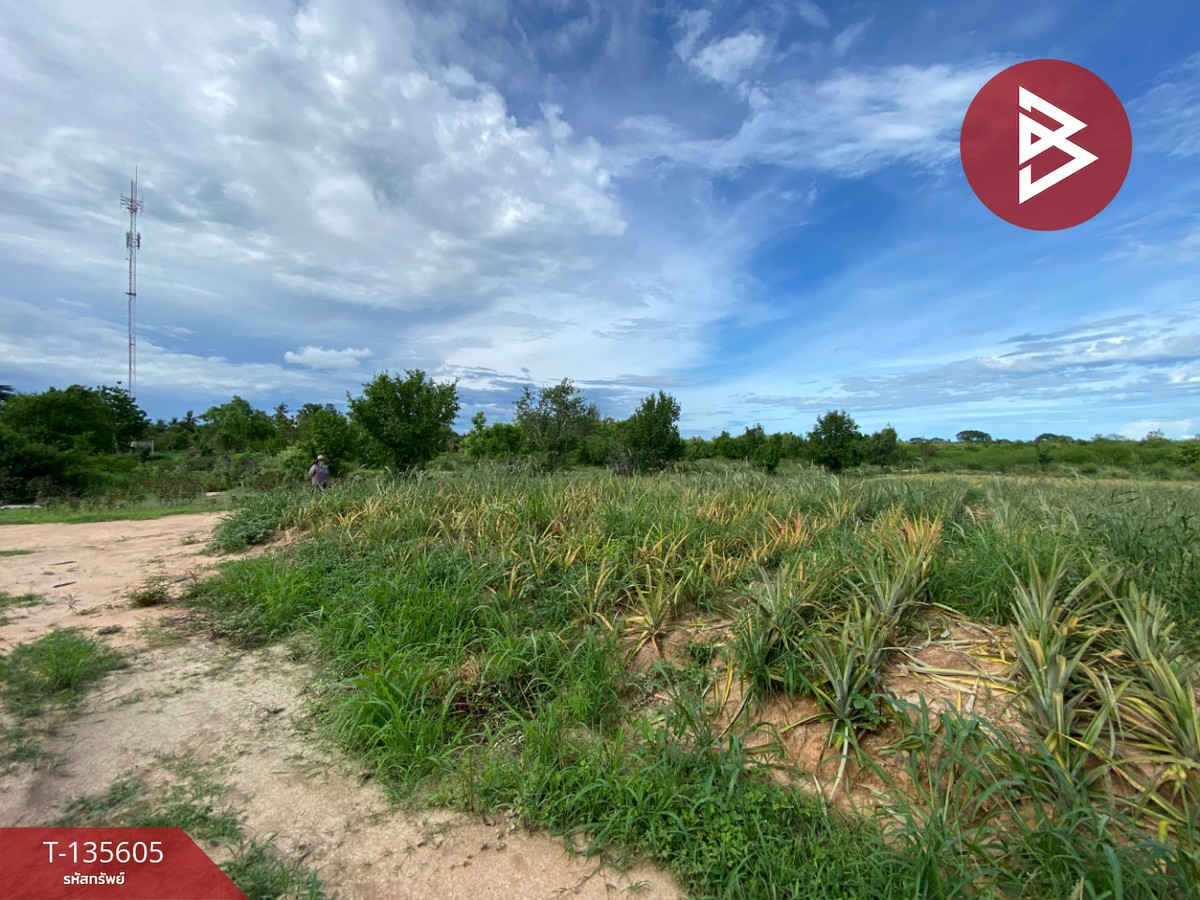 ขายที่ดิน เนื้อที่ 123 ไร่ 65 ตร.วา บ่อนอก ประจวบคีรีขันธ์