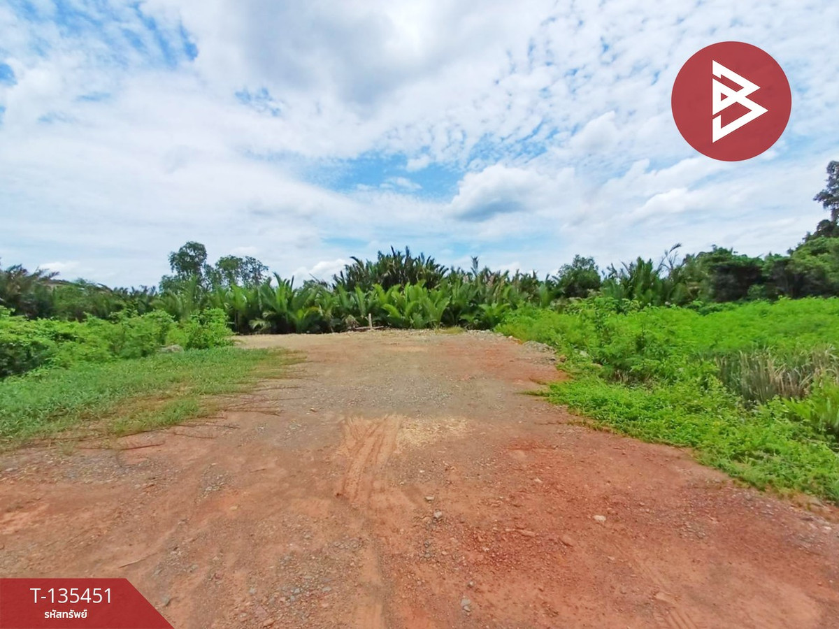 ขายที่ดิน เนื้อที่ 2 ไร่ 3 งาน 3.9 ตร.วา นางตะเคียน สมุทรสงคราม