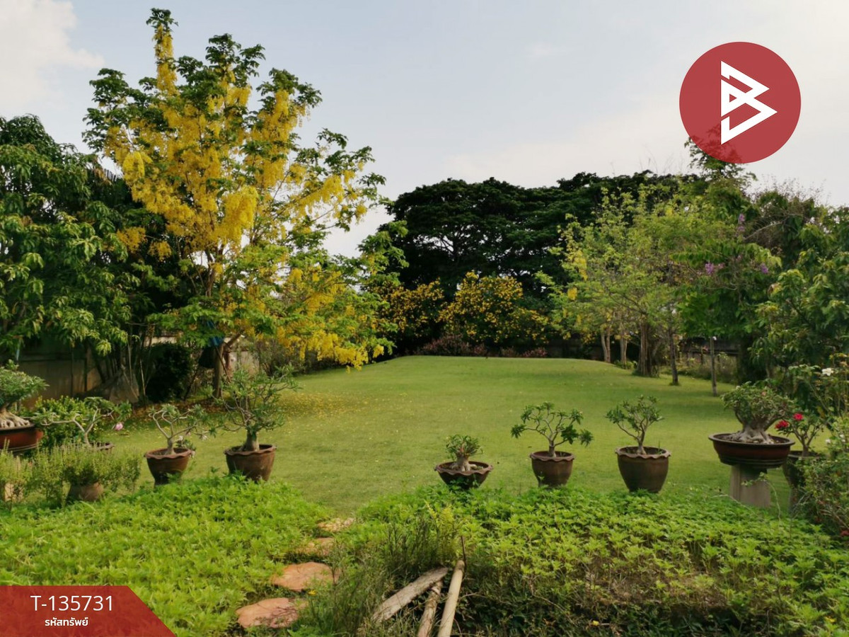 ขายที่ดิน เนื้อที่ 3 งาน 55.6 ตร.วา ต.ในเมือง ลำพูน