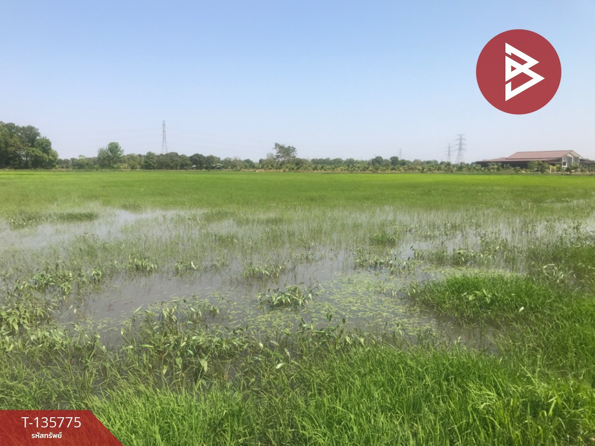 ขายที่ดิน เนื้อที่ 18 ไร่ 1 งาน 96 ตร.วา บ้านโพธิ์ ฉะเชิงเทรา