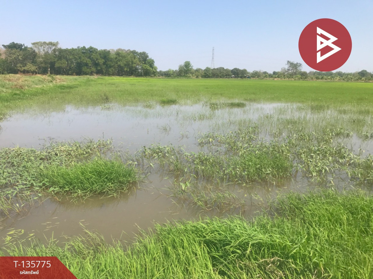 ขายที่ดิน เนื้อที่ 18 ไร่ 1 งาน 96 ตร.วา บ้านโพธิ์ ฉะเชิงเทรา