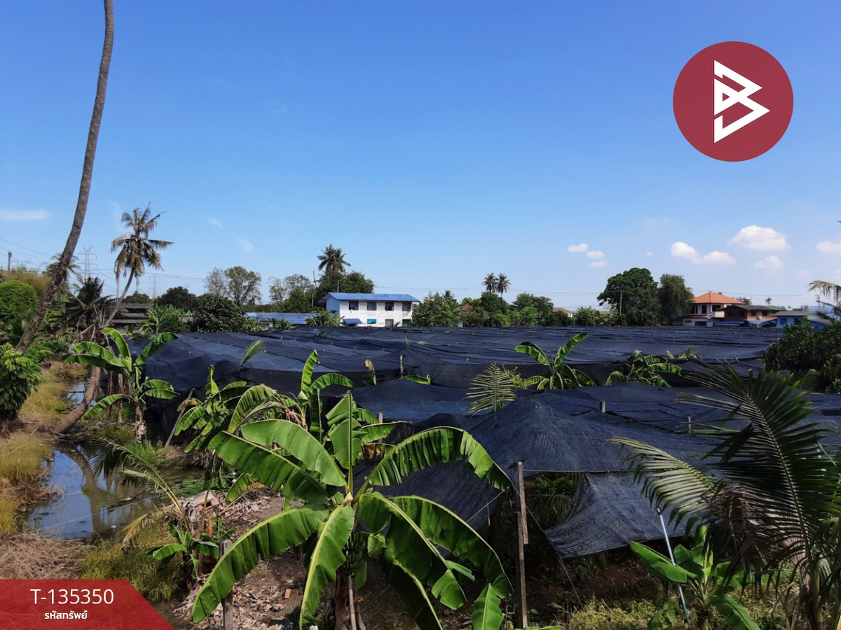 ขายที่ดิน เนื้อที่ 3 ไร่ 1 งาน 86 ตารางวา บางแค กรุงเทพมหานคร