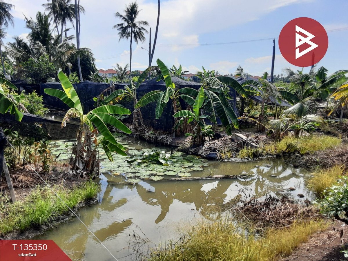 ขายที่ดิน เนื้อที่ 3 ไร่ 1 งาน 86 ตารางวา บางแค กรุงเทพมหานคร