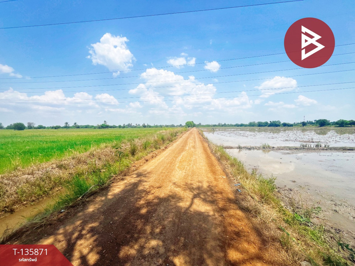 ขายที่ดิน เนื้อที่ 6 ไร่ 3 งาน 25.2 ตร.วา สรรพยา ชัยนาท