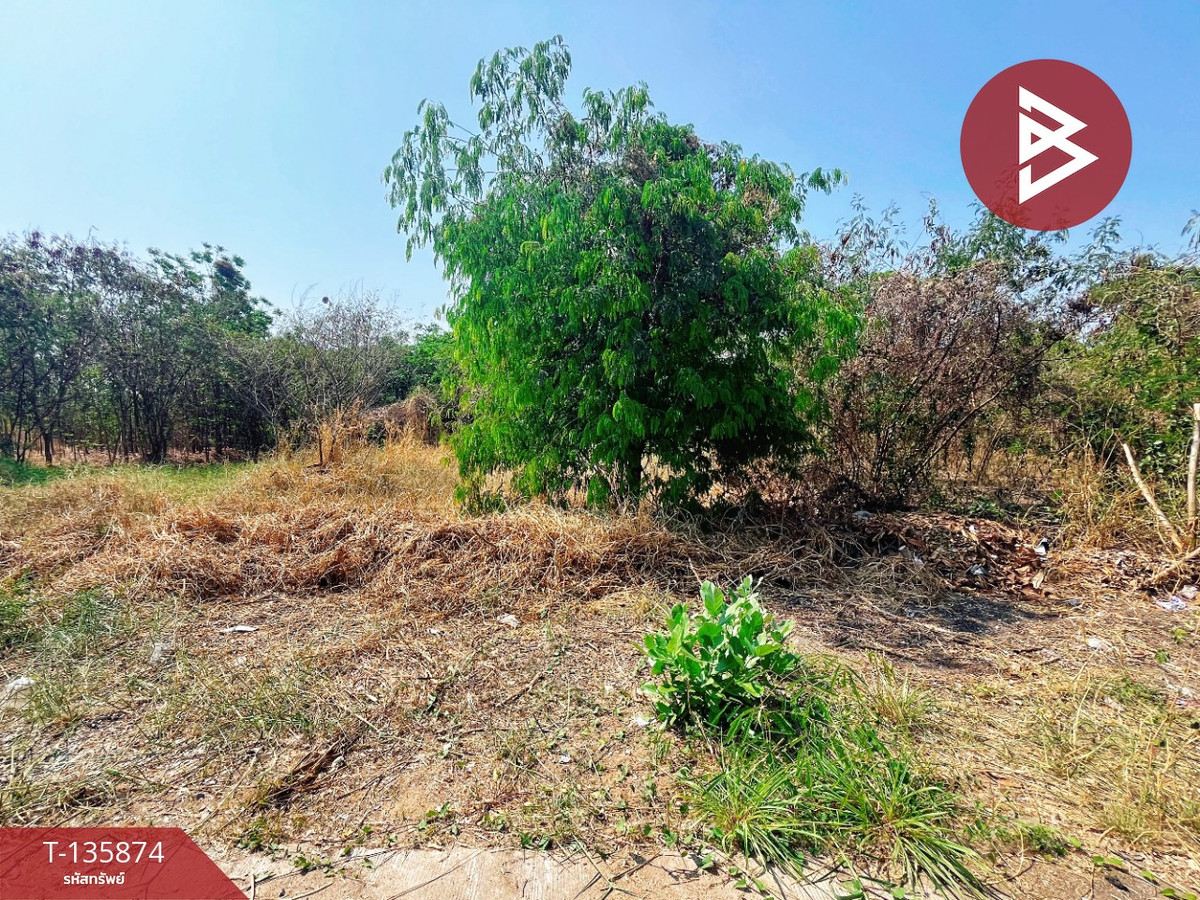 ขายที่ดิน เนื้อที่ 2 งาน 13.2 ตร.วา อุทัยใหม่ อุทัยธานี