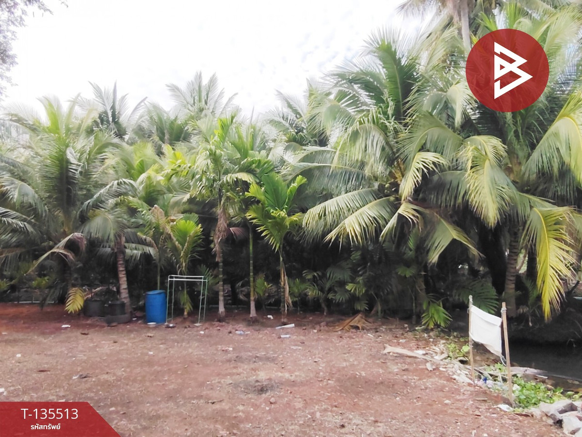 ขายที่ดิน เนื้อที่ 2 งาน 56.7 ตร.วา ดำเนินสะดวก ราชบุรี