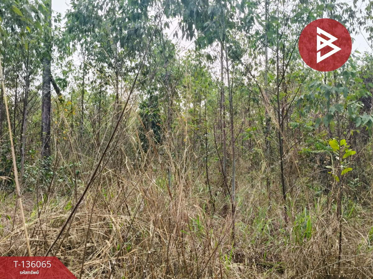 ขายที่ดิน เนื้อที่ 6 ไร่ 3 งาน 64 ตร.วา พนัสนิคม ชลบุรี