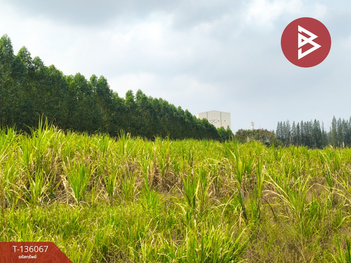 ขายที่ดิน เนื้อที่ 12 ไร่ 3 งาน 74 ตร.วา บ่อทอง ชลบุรี