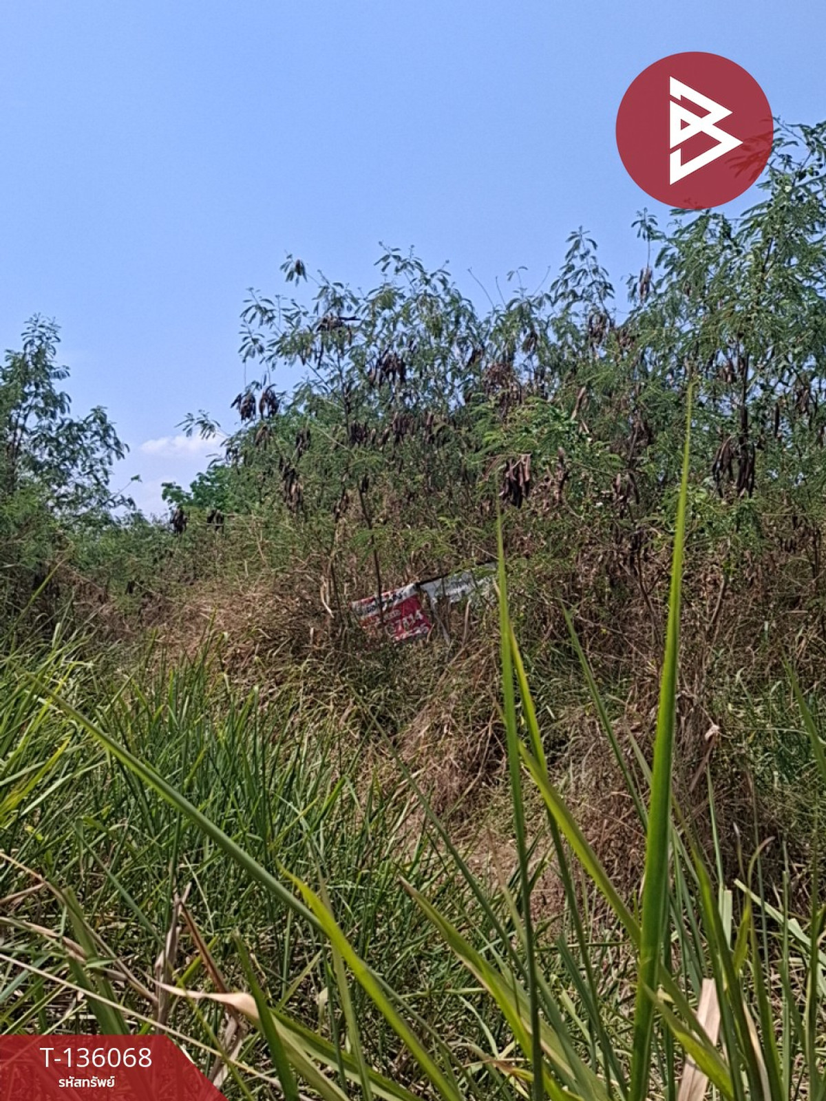 ขายที่ดิน เนื้อที่ 1 งาน 64 ตร.วา โชคชัย นครราชสีมา