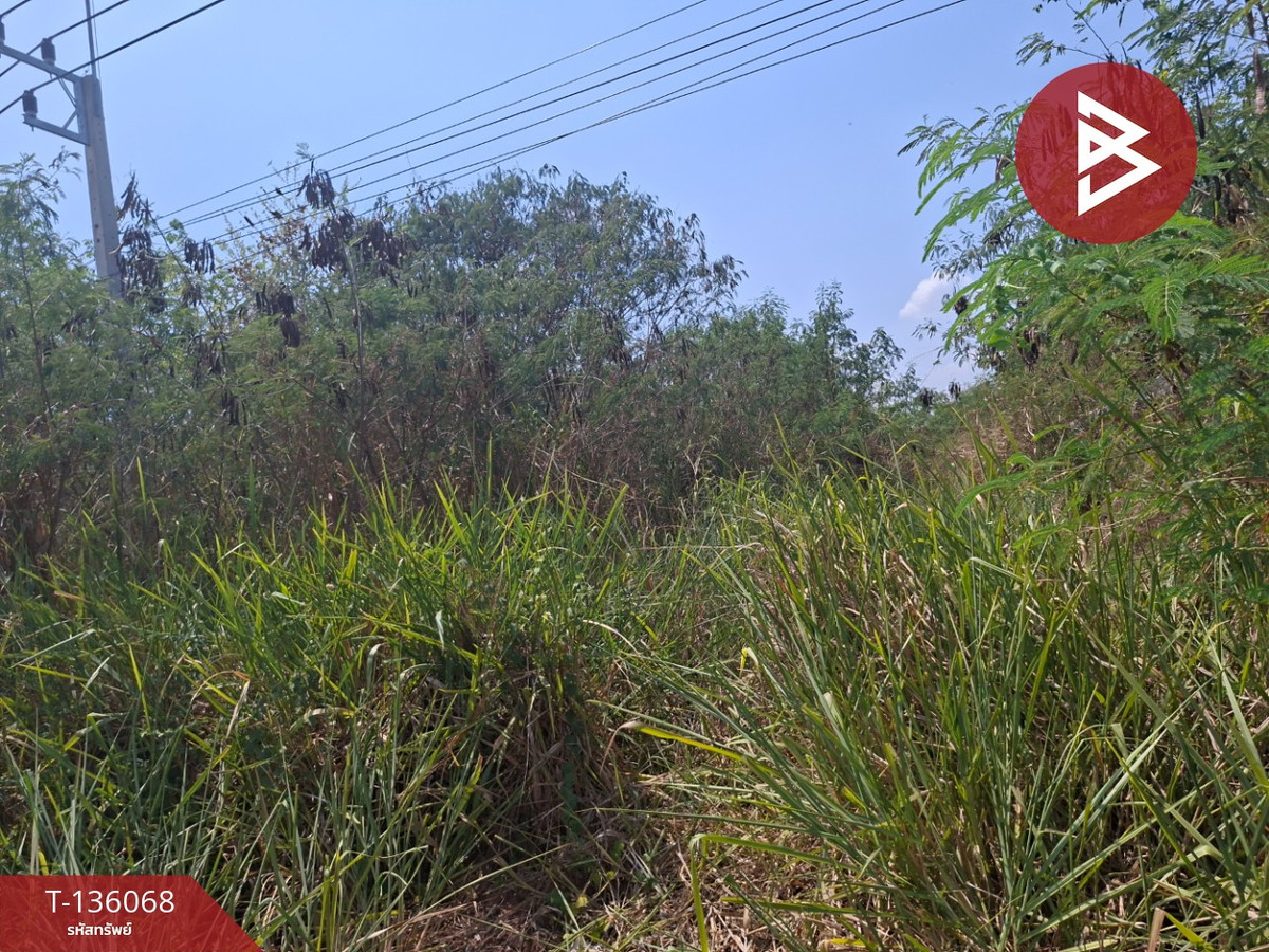 ขายที่ดิน เนื้อที่ 1 งาน 64 ตร.วา โชคชัย นครราชสีมา