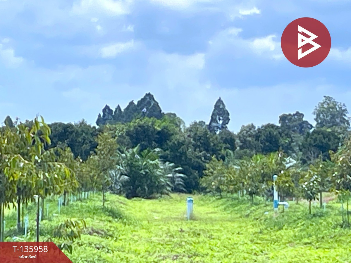 ขายที่ดินพร้อมสวน เนื้อที่ 16 ไร่ 2 งาน 89 ตร.วา นบพิตำ นครศรีธรรมราช