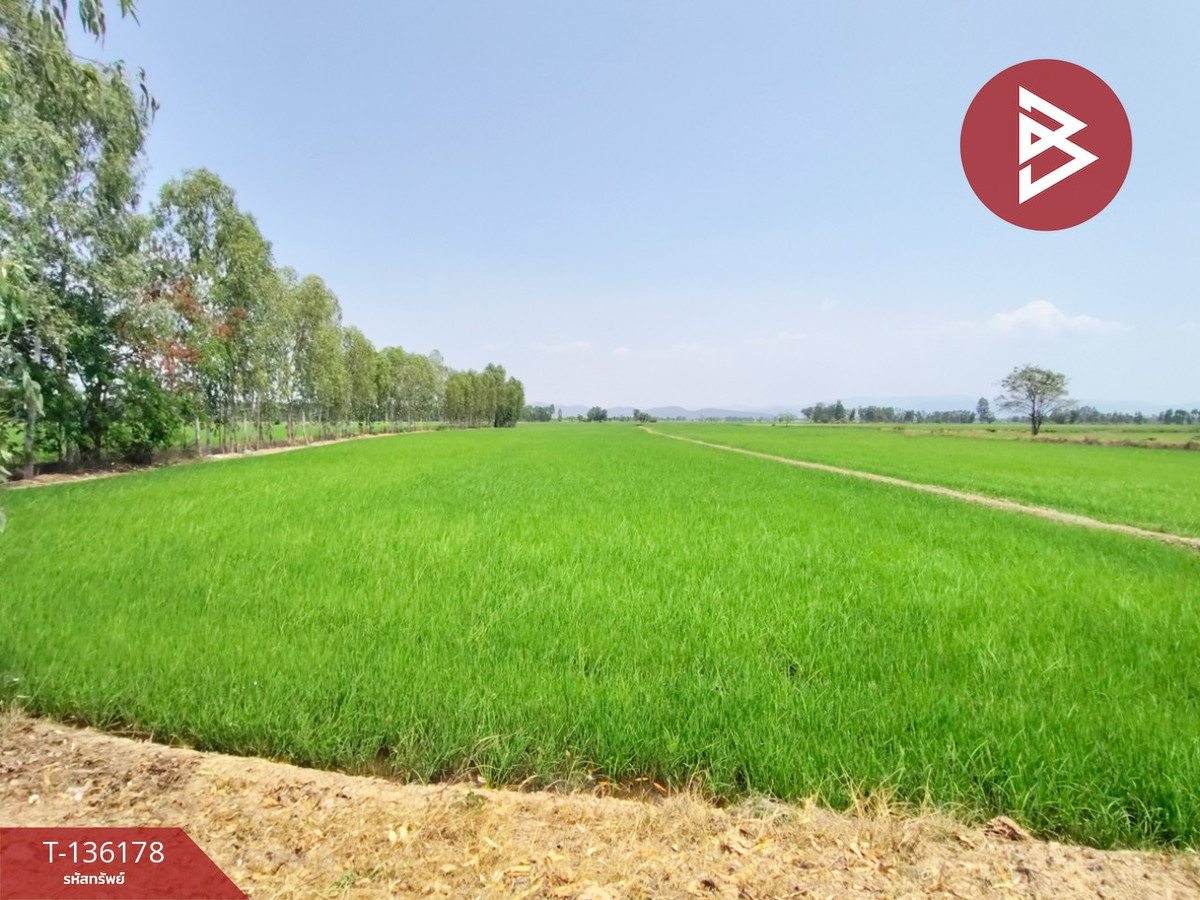 ขายที่ดิน เนื้อที่ 13 ไร่ 3 งาน 60 ตร.วา พิชัย อุตรดิตถ์