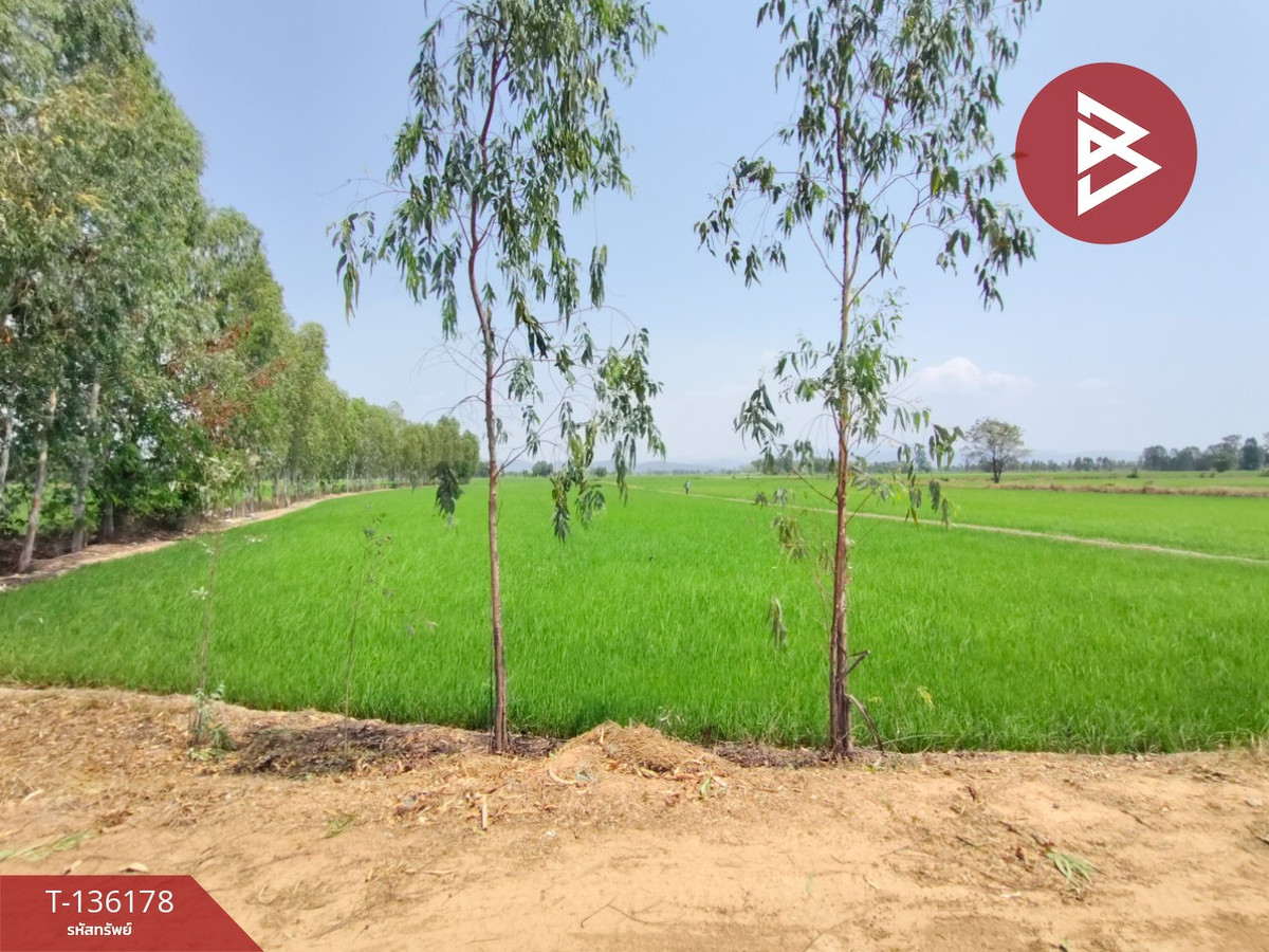 ขายที่ดิน เนื้อที่ 13 ไร่ 3 งาน 60 ตร.วา พิชัย อุตรดิตถ์