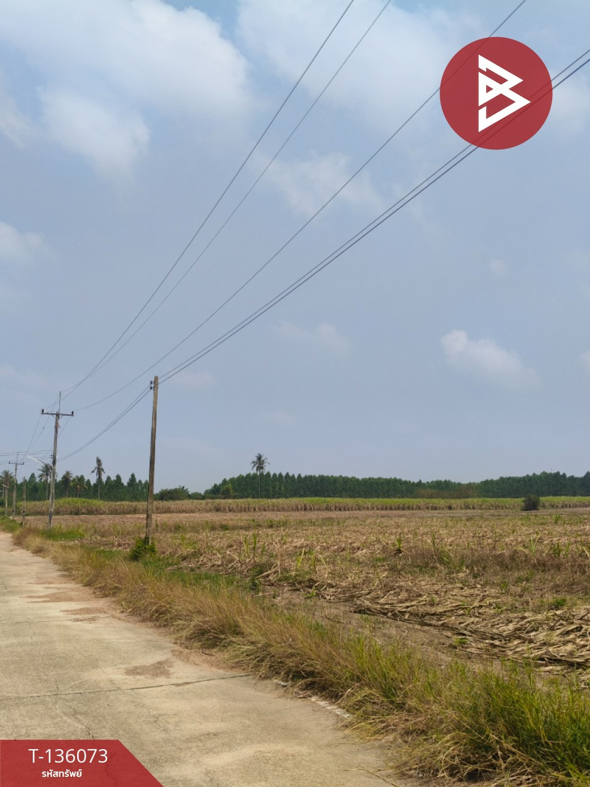 ขายที่ดิน เนื้อที่ 8 ไร่ 2 งาน 82.2 ตร.วา บ่อทอง ชลบุรี