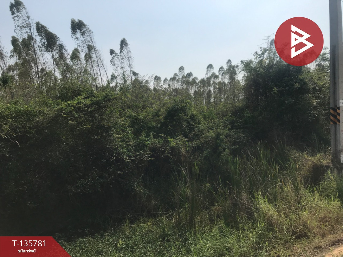 ขายที่ดิน เนื้อที่ 1 ไร่ 50 ตารางวา บ้านโพธิ์ ฉะเชิงเทรา