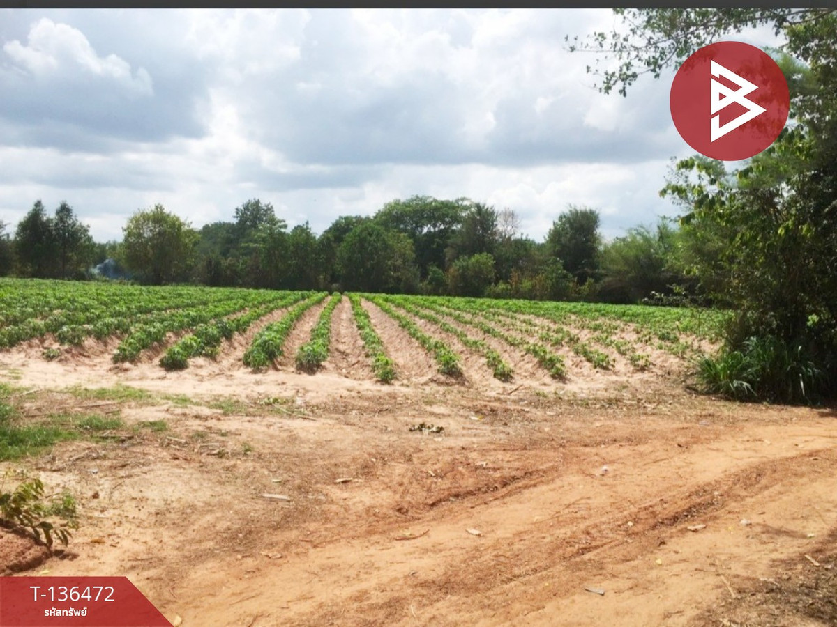 ขายที่ดิน เนื้อที่ 4 ไร่ 3 งาน 90.0 ตารางวา พังทุย  น้ำพอง ขอนแก่น