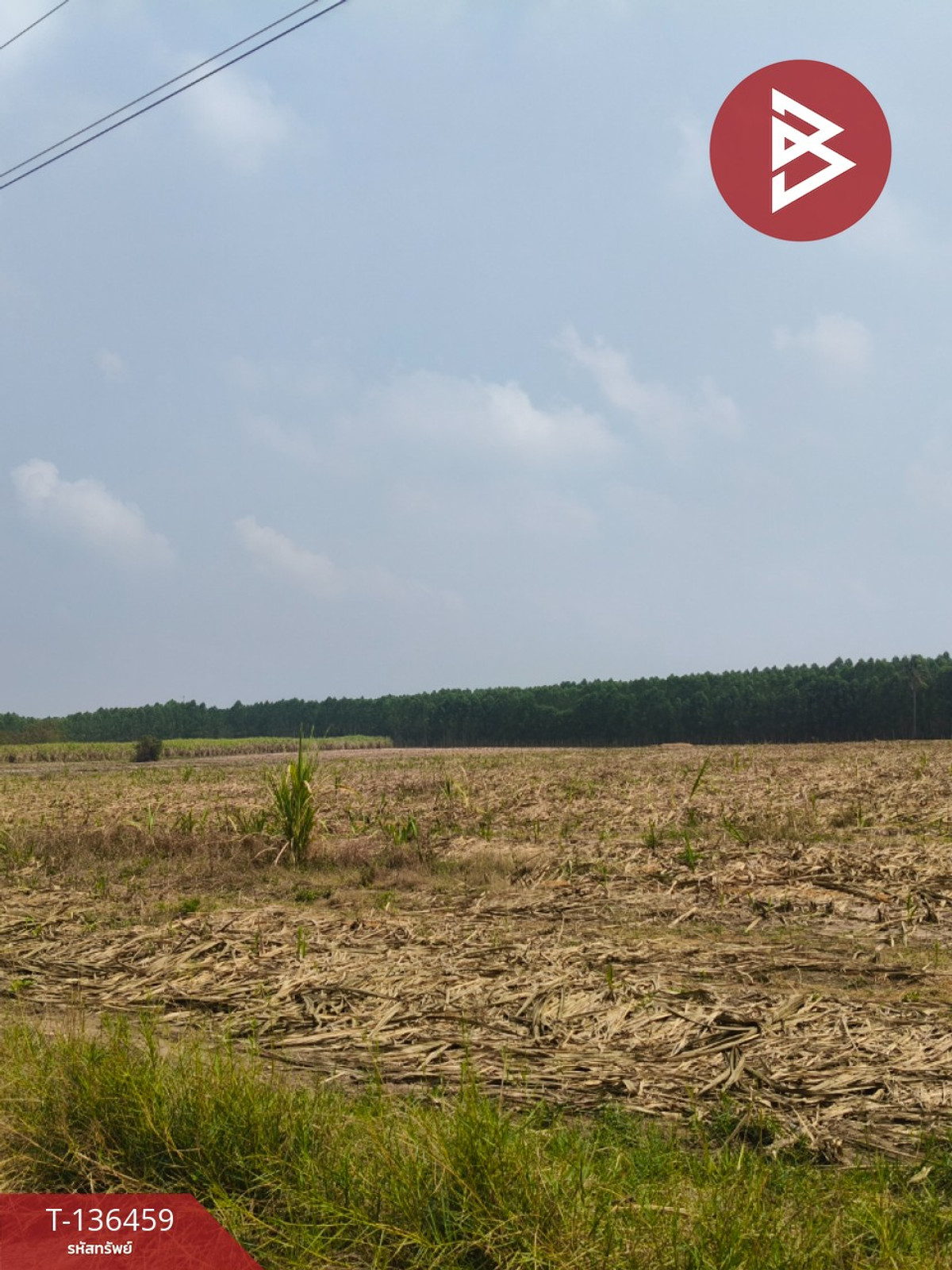 ขายที่ดินเปล่า เนื้อที่ 12 ไร่ 2 งาน 75 ตารางวา ใกล้เทศบาลตำบลธาตุทอง บ่อทอง ชลบุรี