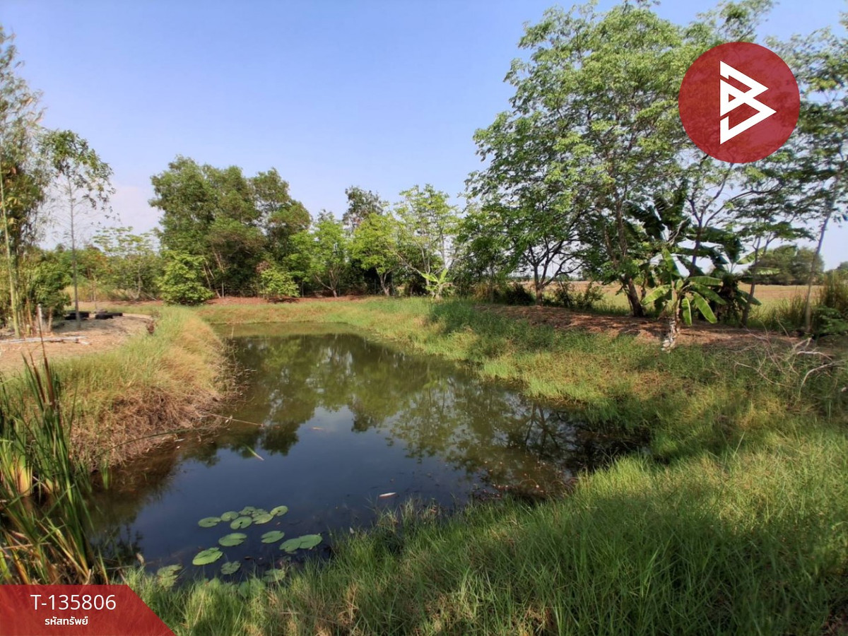 ขายที่ดิน เนื้อที่ 3 งาน 29.1 ตร.วา องครักษ์ นครนายก