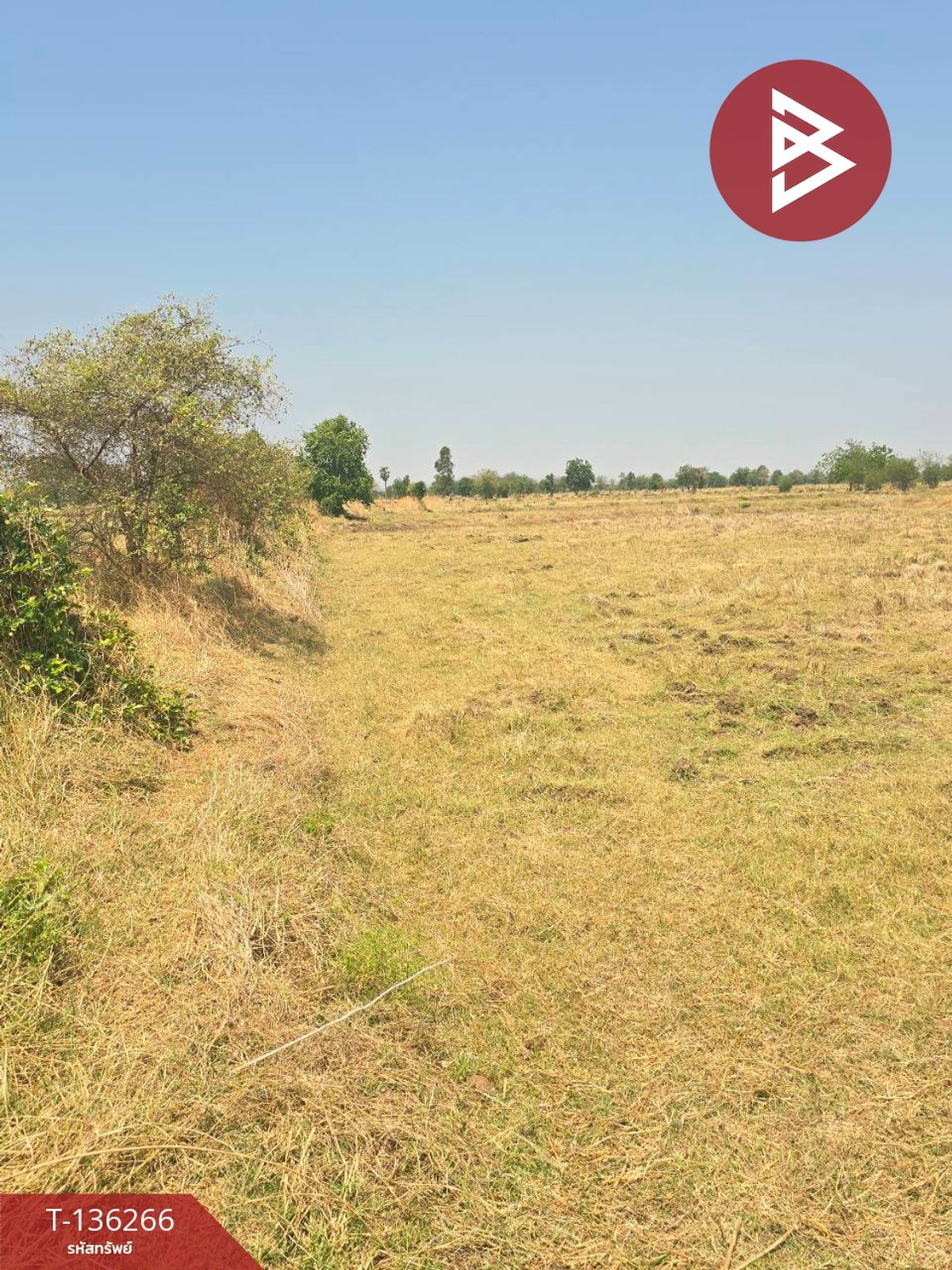 ขายที่ดิน เนื้อที่ 29 ไร่ 1 งาน 65 ตร.วา โคกสำโรง ลพบุรี