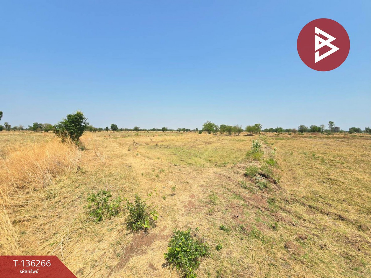 ขายที่ดิน เนื้อที่ 29 ไร่ 1 งาน 65 ตร.วา โคกสำโรง ลพบุรี