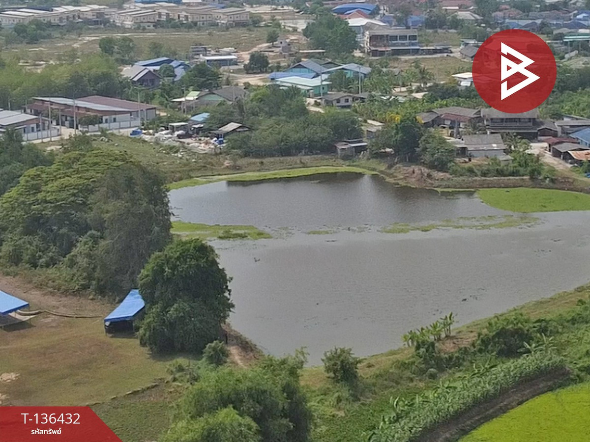 ขายที่ดิน เนื้อที่ 11 ไร่ 2 งาน 24.4 ตร.วา พนัสนิคม ชลบุรี