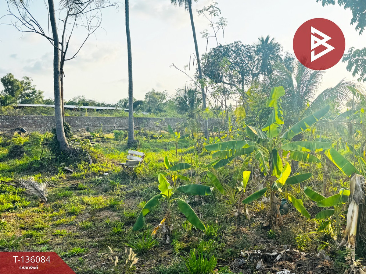 ขายที่ดิน เนื้อที่ 95.4 ตร.วา บางละมุง ชลบุรี