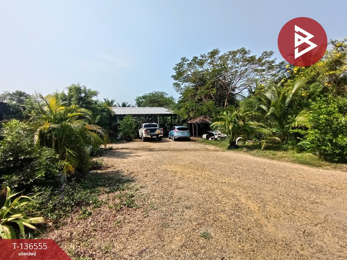 ขายที่ดิน เนื้อที่ 1 ไร่ 12 ตร.วา บางแพ ราชบุรี