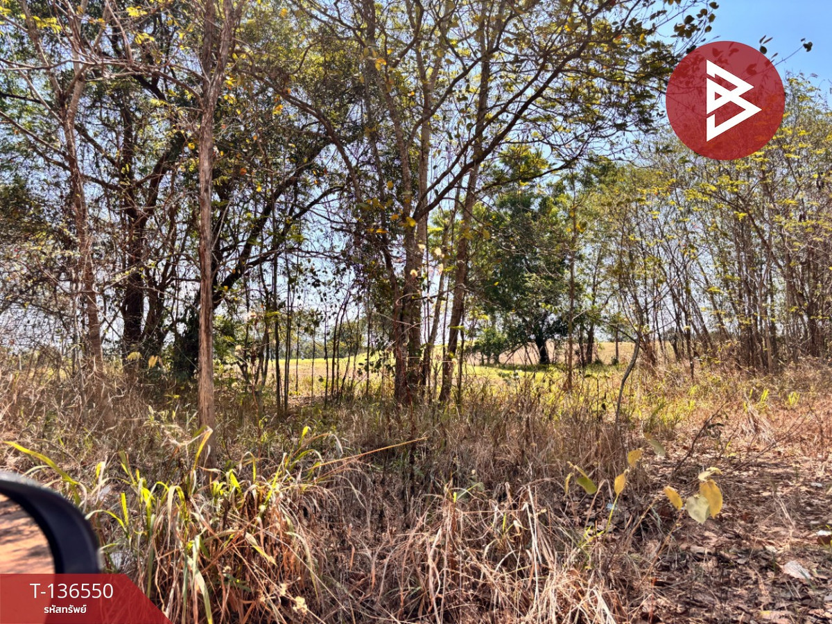 ขายที่ดิน เนื้อที่ 2 ไร่ 19.9 ตารางวา ชะอำ เพชรบุรี ทำเลสวย