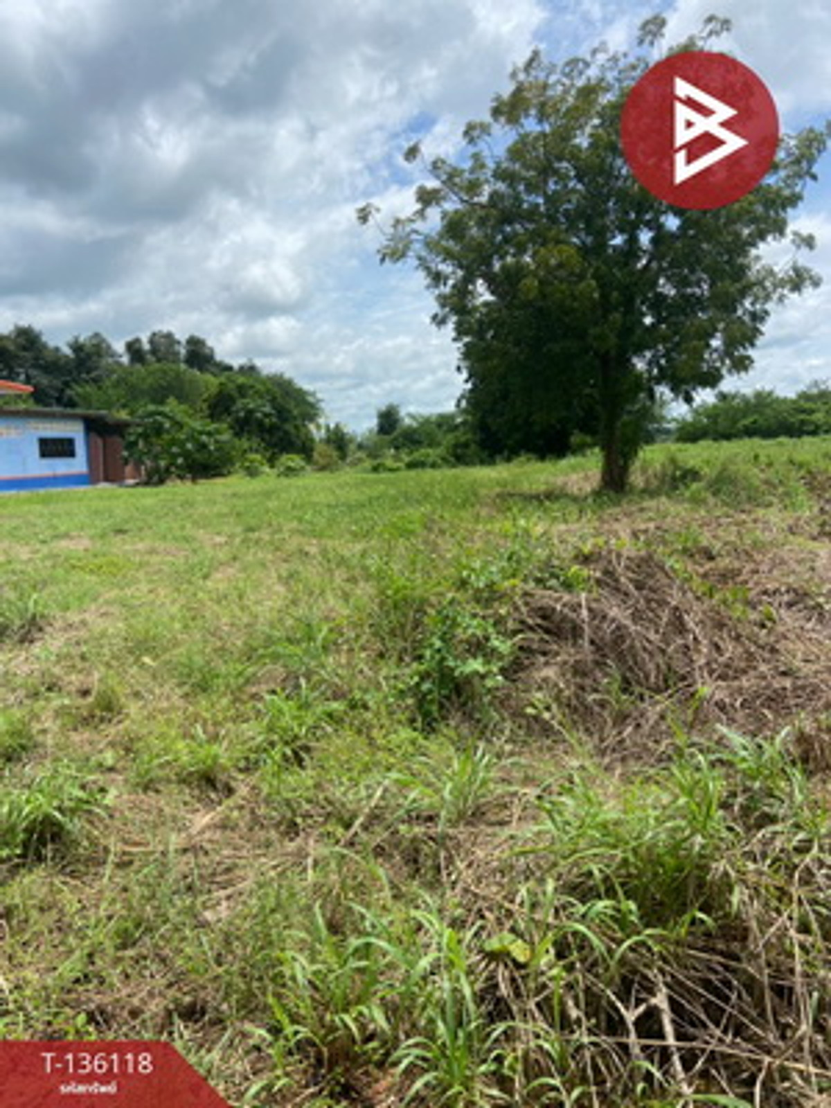 ขายที่ดิน เนื้อที่ 1 ไร่ 2 งาน 6 ตร.วา บึงสามพัน เพชรบูรณ์