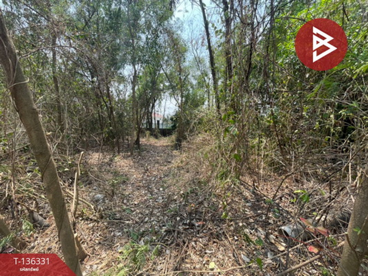 ขายที่ดินเปล่า เนื้อที่ 158 ตร.วา ในหมู่บ้านเลคการ์เด้นวิลล่า ธัญบุรี-คลอง 3 ปทุมธานี