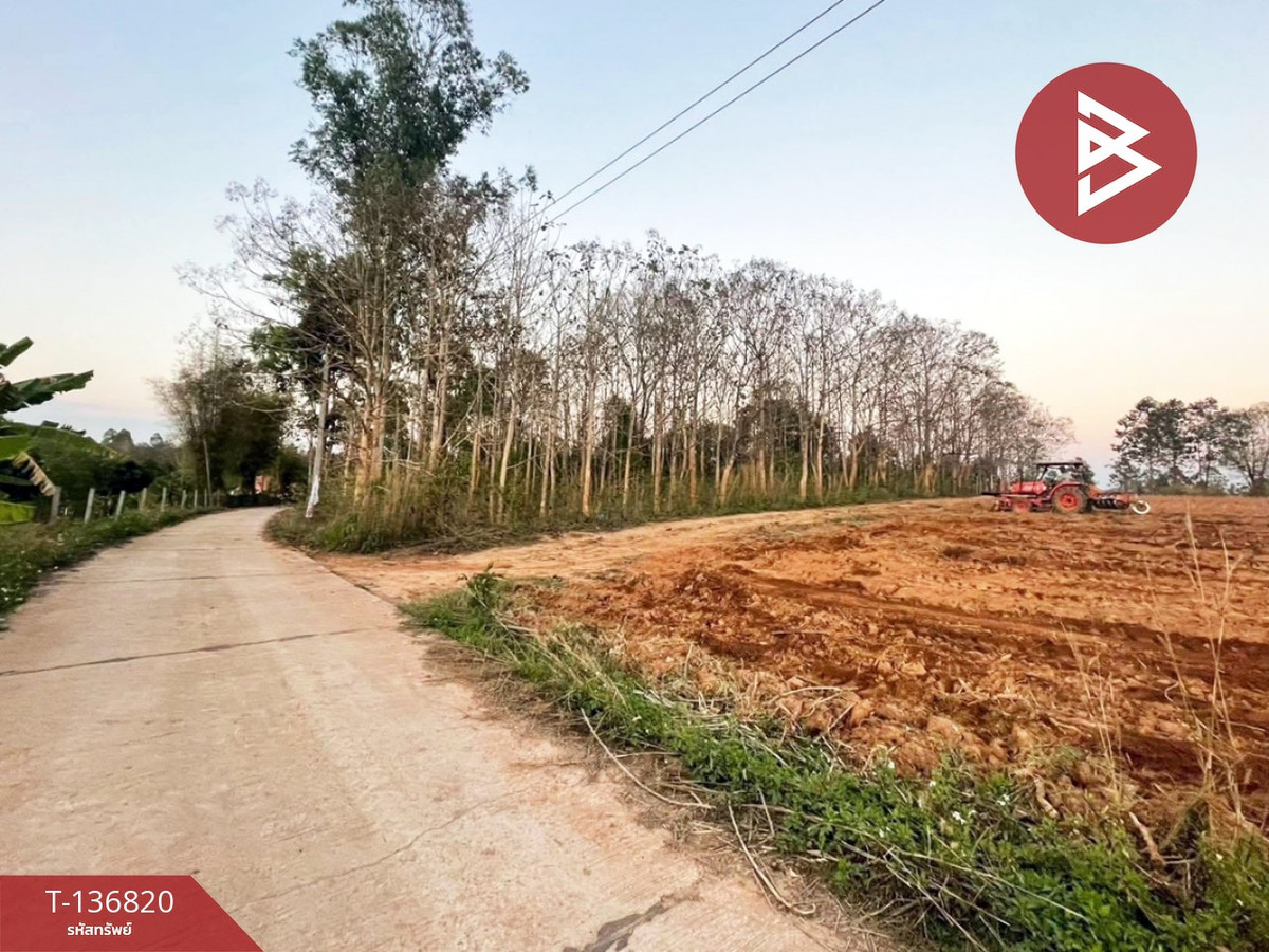 ขายที่ดิน เนื้อที่ 1 ไร่ อ.ด่านซ้าย จังหวัดเลย