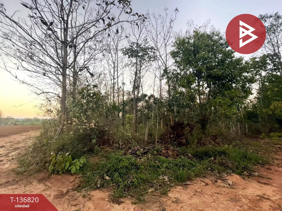 ขายที่ดิน เนื้อที่ 1 ไร่ อ.ด่านซ้าย จังหวัดเลย