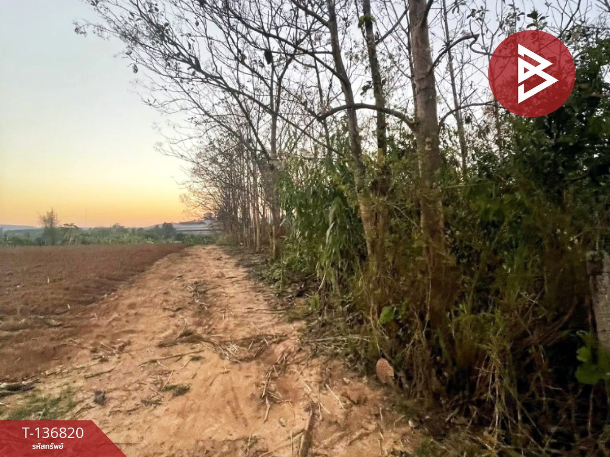 ขายที่ดิน เนื้อที่ 1 ไร่ อ.ด่านซ้าย จังหวัดเลย