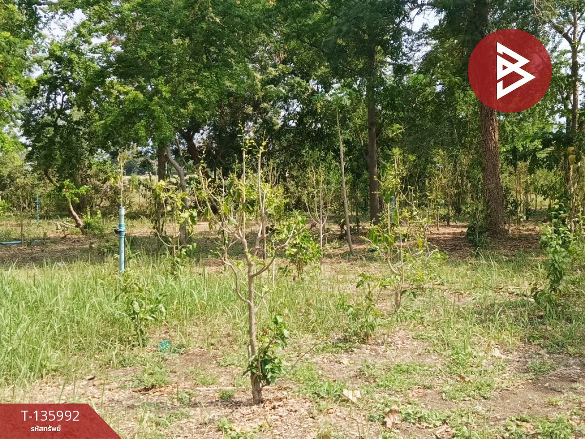 ขายที่ดิน เนื้อที่ 5 ไร่ 25.9 ตร.วา หนองบัว บ้านหมอ สระบุรี