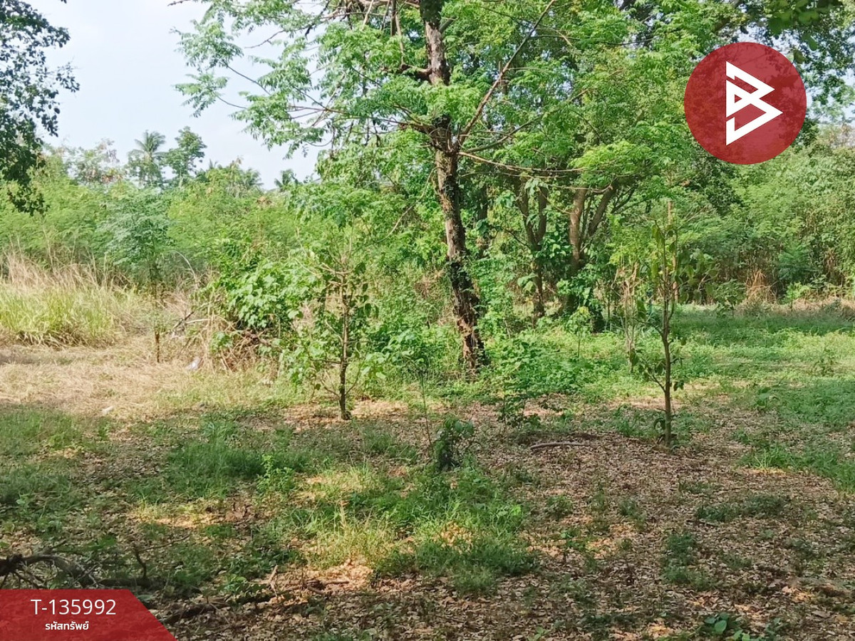 ขายที่ดิน เนื้อที่ 5 ไร่ 25.9 ตร.วา หนองบัว บ้านหมอ สระบุรี