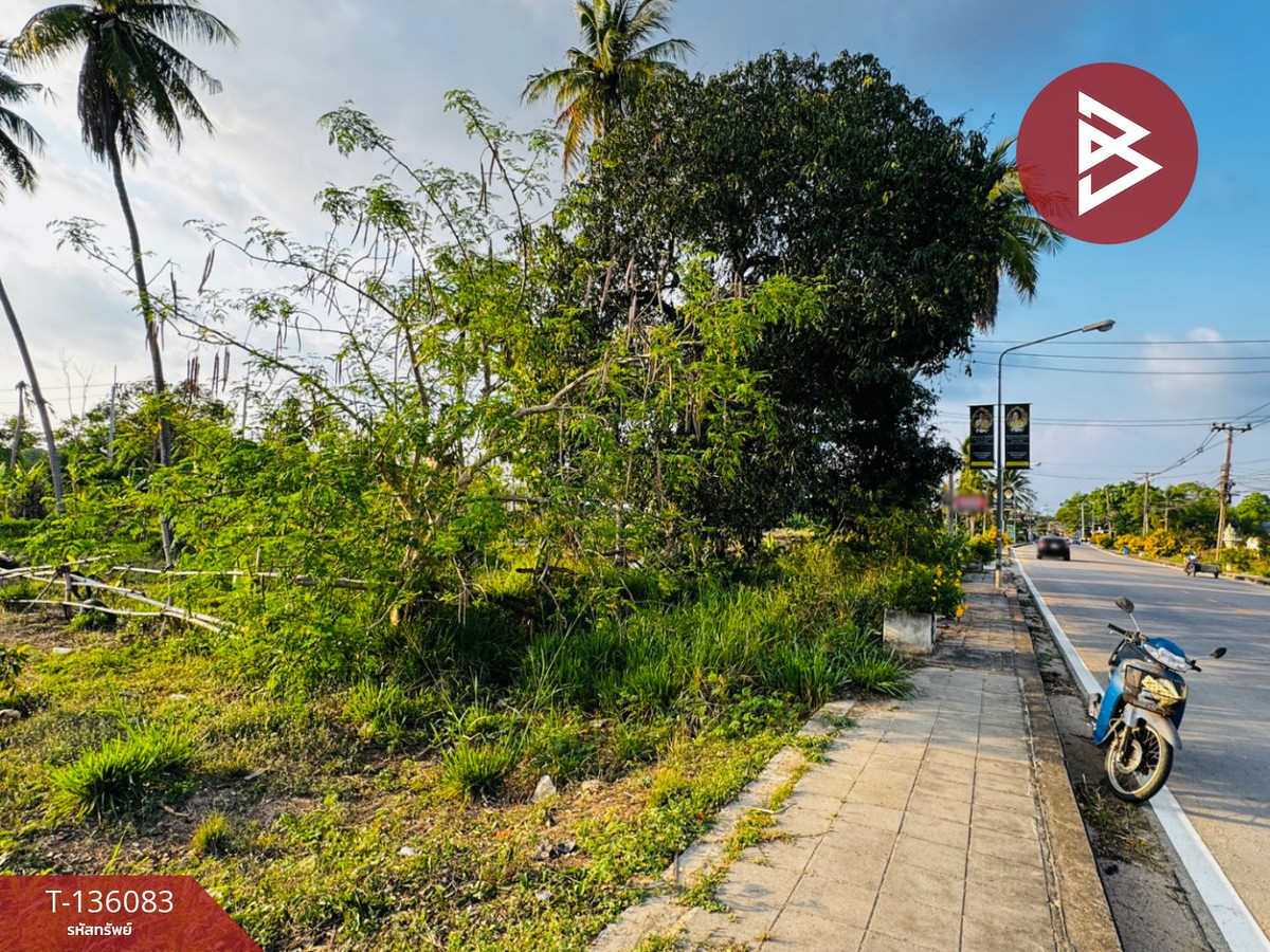 ขายที่ดิน เนื้อที่ 2 งาน บางละมุง ชลบุรี