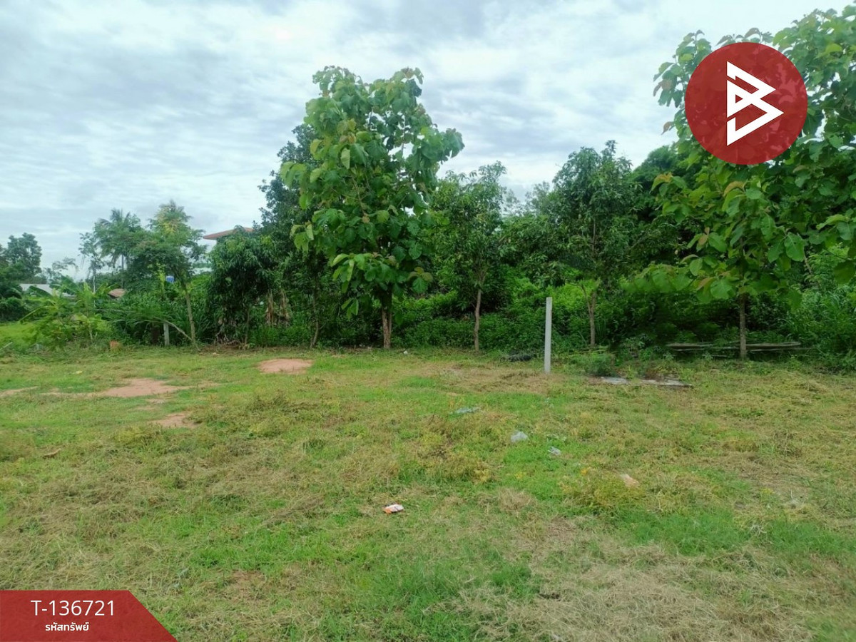 ขายที่ดิน เนื้อที่ 2 งาน 33.5 ตร.วา โนนศิลา ขอนแก่น