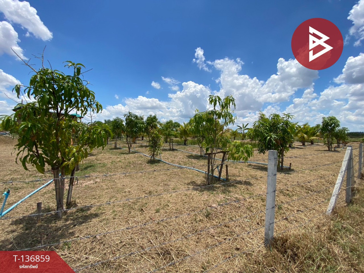 ขายที่ดิน เนื้อที่ 1 ไร่ 2 งาน จอมบึง ราชบุรี