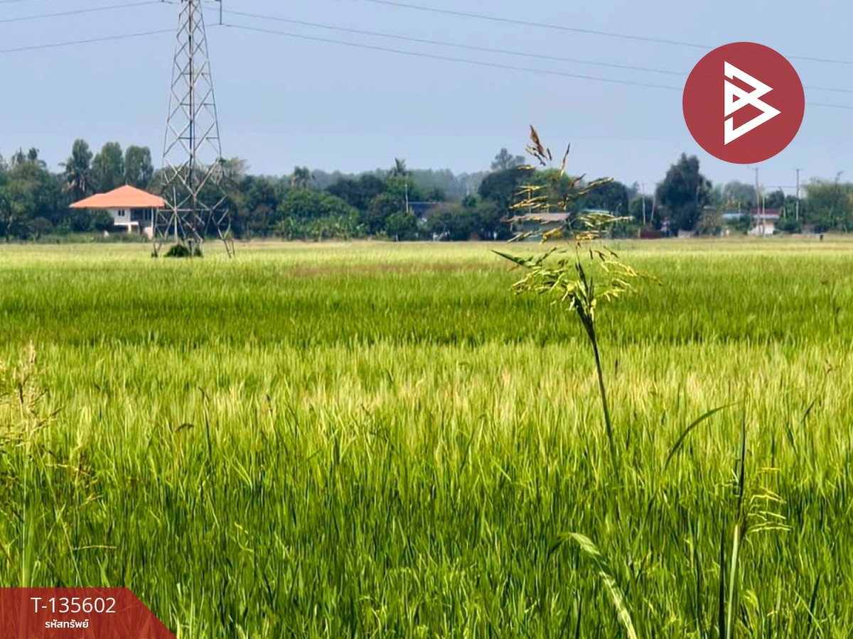 ขายที่ดิน เนื้อที่ 26 ไร่ 2 งาน 28 ตร.วา บางมัญ สิงห์บุรี