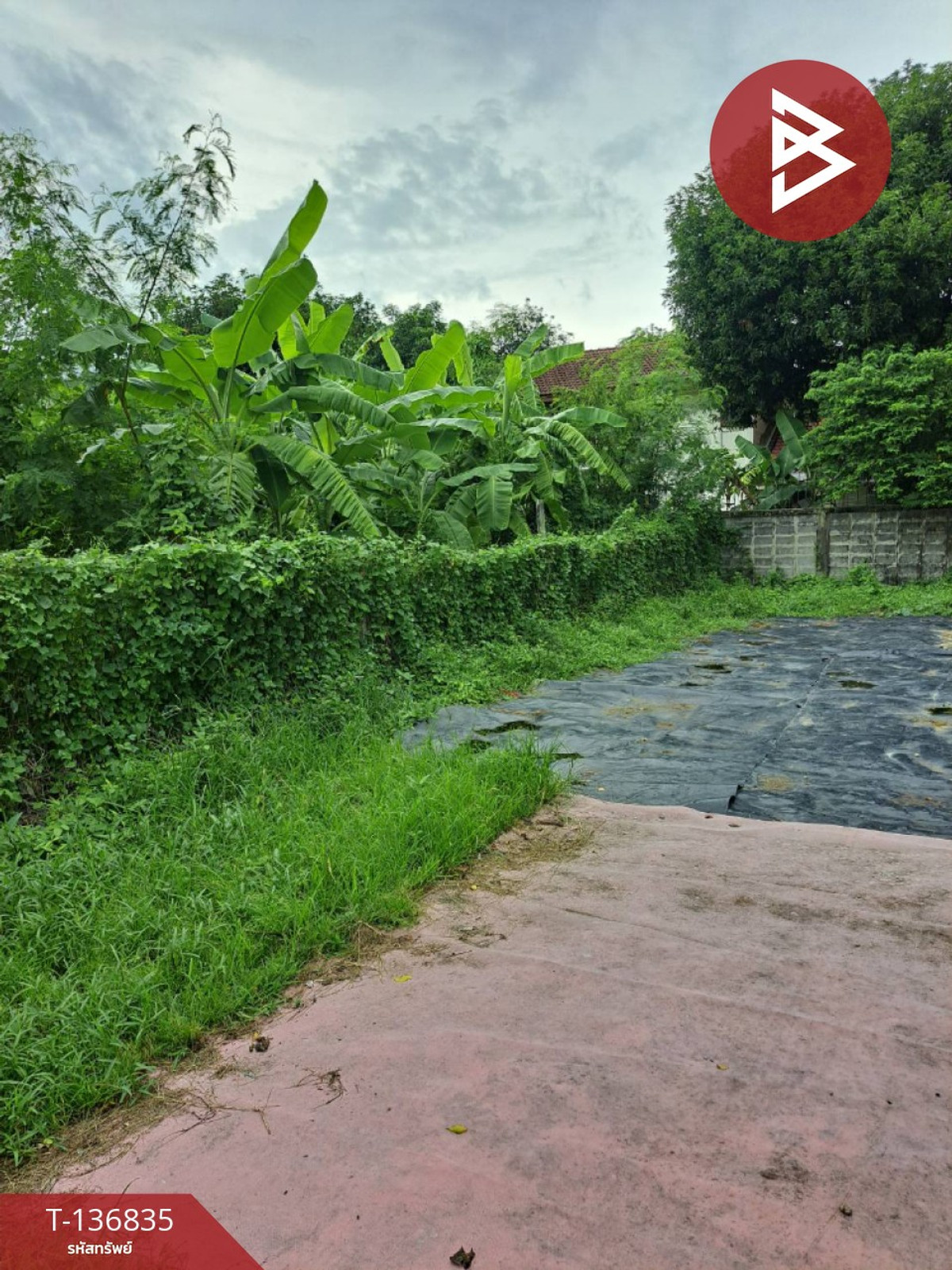 ขาย/เช่าที่ดิน เนื้อที่ 1 งาน 5 ตร.วา บางกะปิ กรุงเทพมหานคร