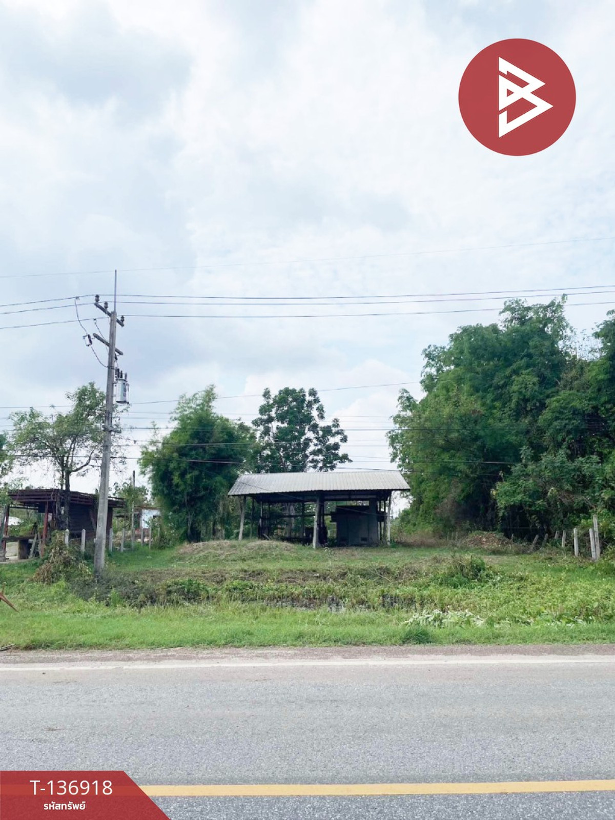 ขายที่ดิน เนื้อที่ 1 ไร่ หนองบัว นครสวรรค์