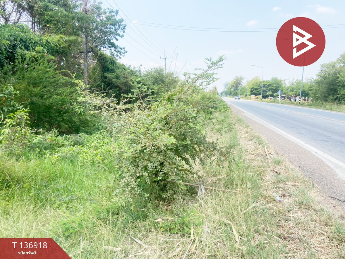 ขายที่ดิน เนื้อที่ 1 ไร่ หนองบัว นครสวรรค์